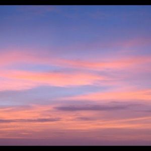 Meet your Posher, Natasha